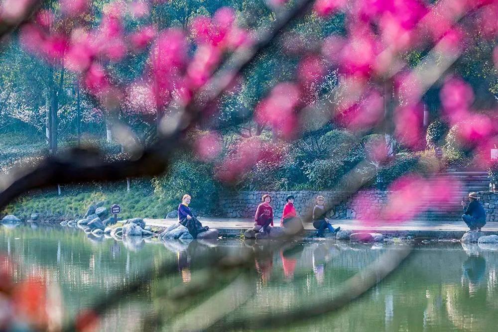 海南“村VA”迎春赛·新面孔|纵身一跃左手暴扣 这位年轻小将有力量!